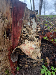 Similar image 21433564