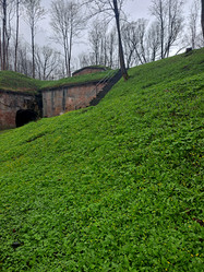 Similar image 21433566