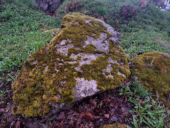 Similar image 21433569