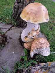 Similar image 21433572