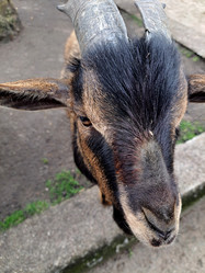 Similar image 21433726