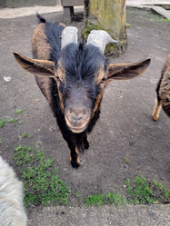 Similar image 21433727