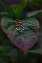 Similar image 21446727