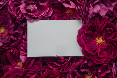 Similar image 21446731