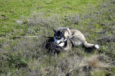 Similar image 21434677