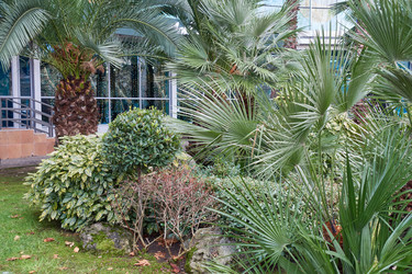 Similar image 21439633