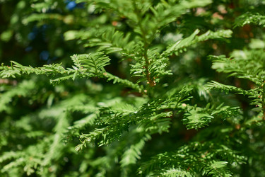 Similar image 21439635