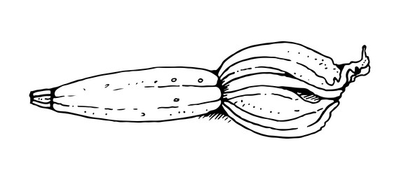 Similar image 21479292