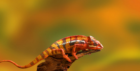 Similar image 21434681