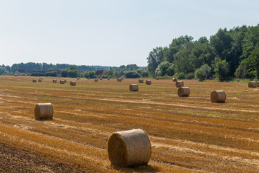 Similar image 21433937