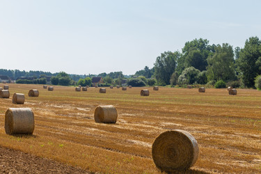 Similar image 21433938