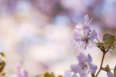 Similar image 21437539