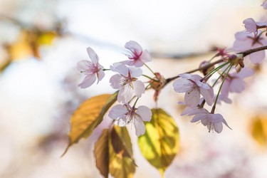 Similar image 21437540