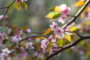 Similar image 21437542