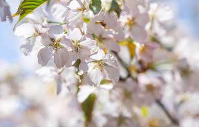 Similar image 21437545