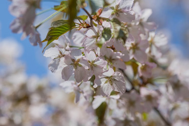 Similar image 21437546