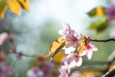 Similar image 21437547