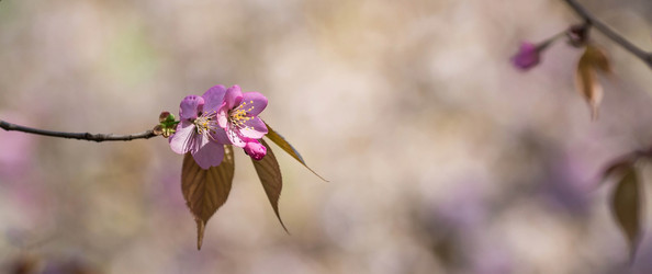 Similar image 21437548