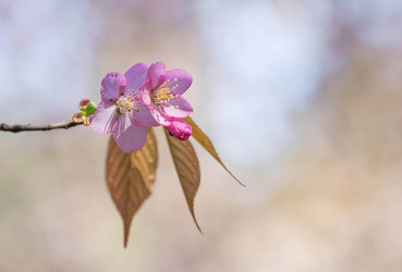 Similar image 21437549