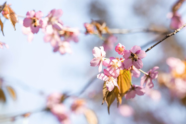 Similar image 21437551