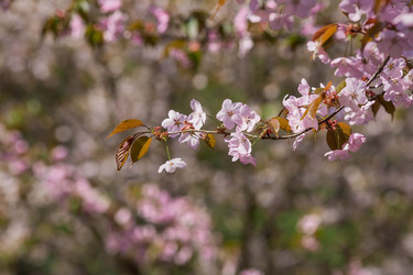 Similar image 21437552