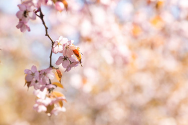 Similar image 21437553