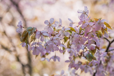 Similar image 21437555