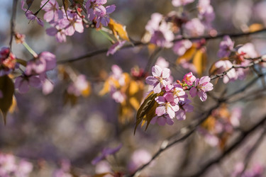 Similar image 21437556