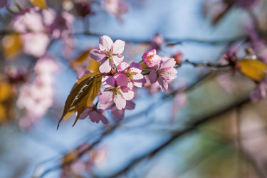 Similar image 21437557