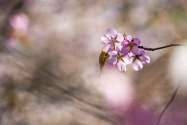 Similar image 21437559