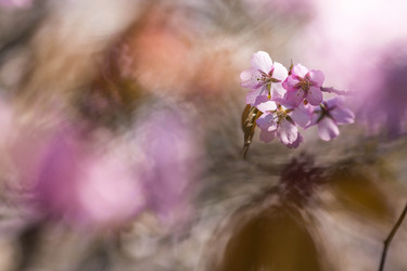 Similar image 21437561