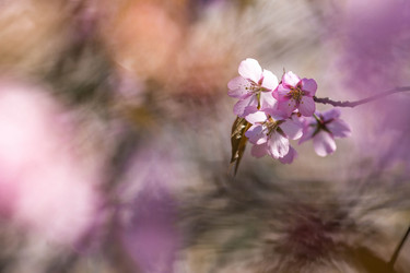 Similar image 21437562