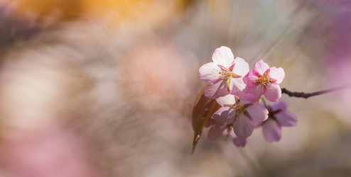 Similar image 21437563