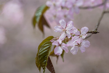 Similar image 21437760