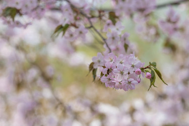 Similar image 21437761