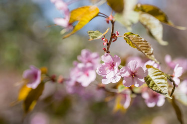 Similar image 21437833