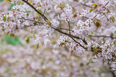 Similar image 21437834