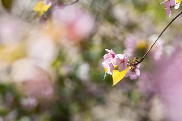 Similar image 21437836