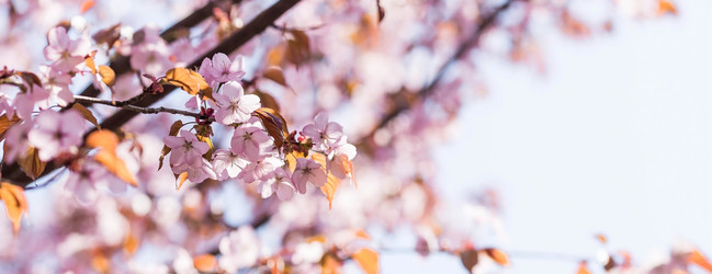 Similar image 21437837