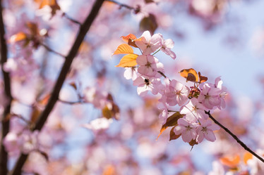 Similar image 21437965