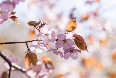 Similar image 21437966