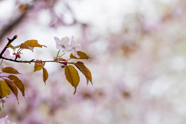 Similar image 21438011