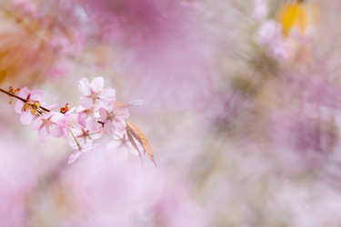 Similar image 21438012