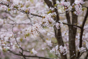 Similar image 21438014