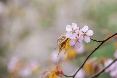 Similar image 21438016