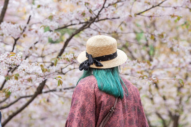 Similar image 21438017