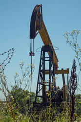 Similar image 21448559