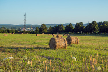 Similar image 21448569