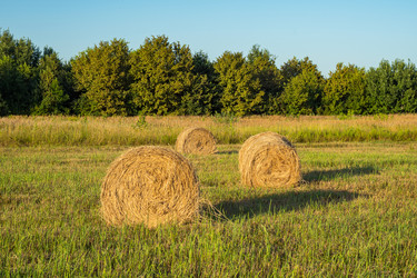 Similar image 21436061