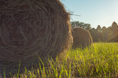 Similar image 21436062